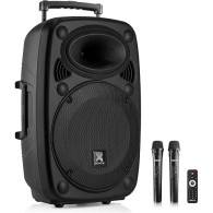 ALTAVOZ TROLLEY 12 CON 2 MICROS M/P USB SD BT TWS BATERIA FONESTAR MALIBU-312