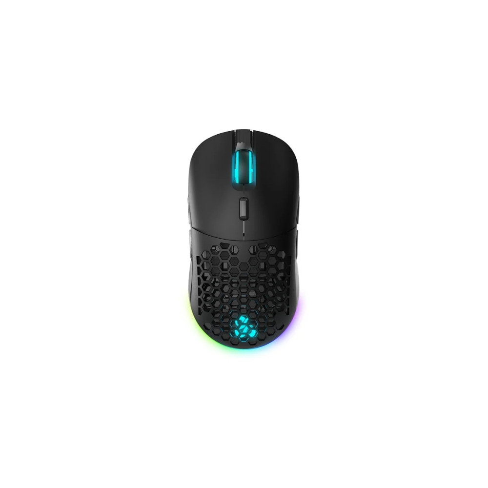 RATON NEWSKILL ARAKNE ELITE V2 RGB DUAL WIRELESS 24 GHZ USB C 16.000 DPI NEGRO