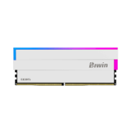 Biwin DW100 DDR5 6000 64GB CL30 (32*2) White RGB