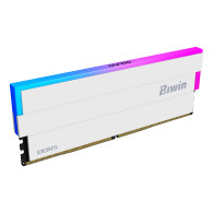 Biwin DW100 DDR5 UDIMM 6000MHz 32G(16G*2) CL30 RGB