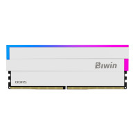 Biwin DW100 DDR5 6000 64GB CL30 (32*2) White RGB