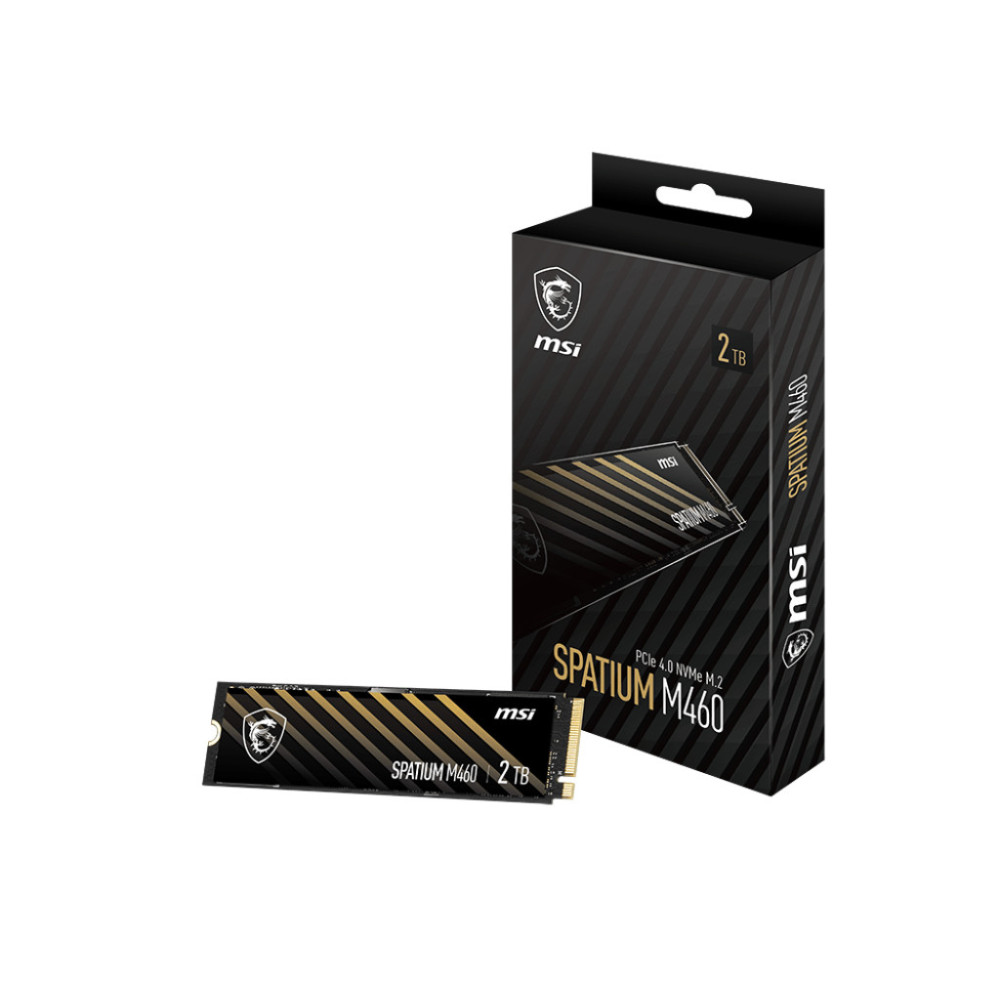 HD SSD 1TB MSI M.2 M460 PCIE GEN4 S78-440L930-P83