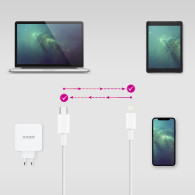 CABLE LIGHTNING A USB-C 2.0M NANOCABLE 10.10.0602