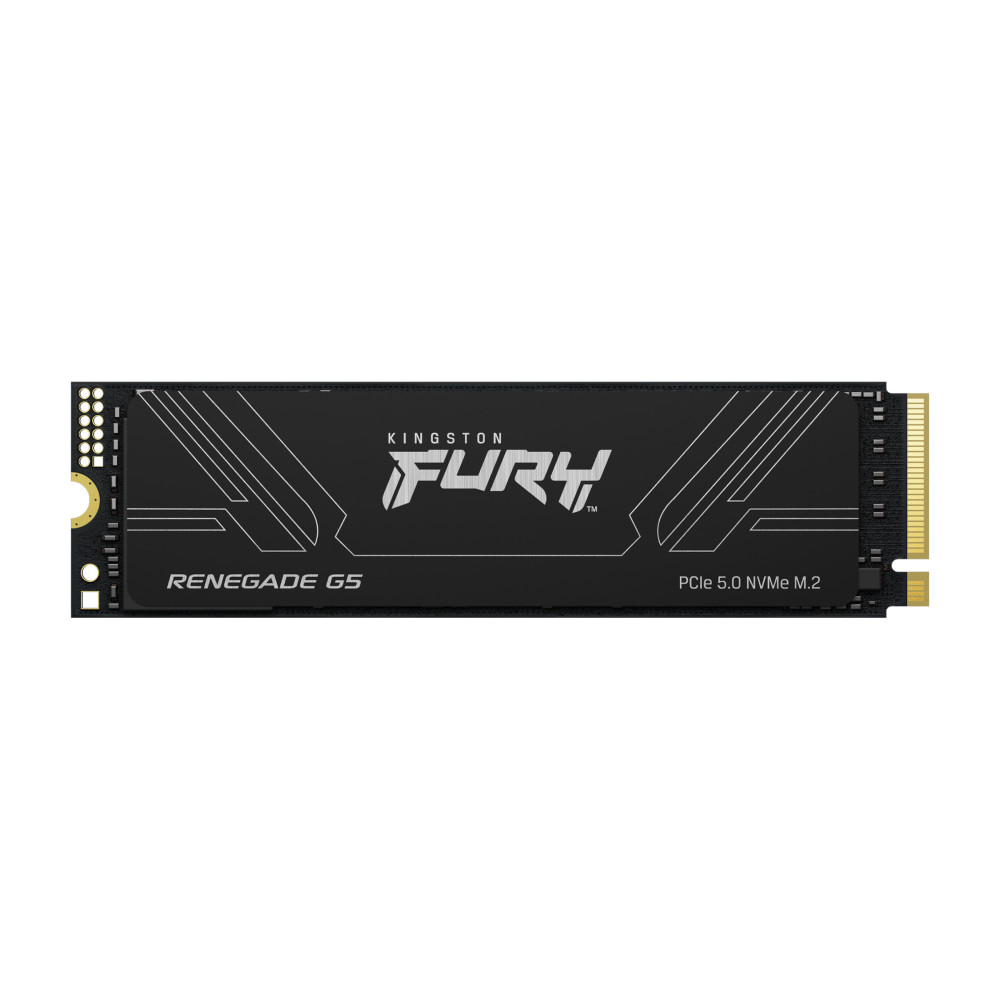 HD SSD 1TB KINGSTON FURY KINGSTON RENEGADE G5 M.2 PCIE 5.0 SFYR2S 1T0